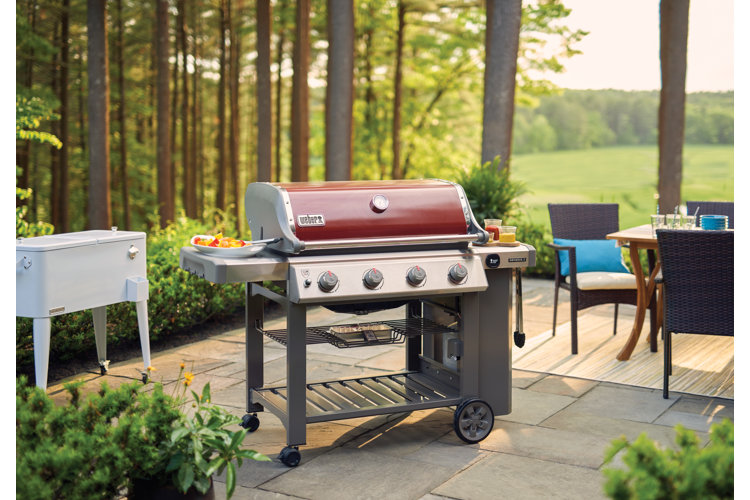 Beginner's Gas Grill Buying Guide How to Choose the Right Type of Gas